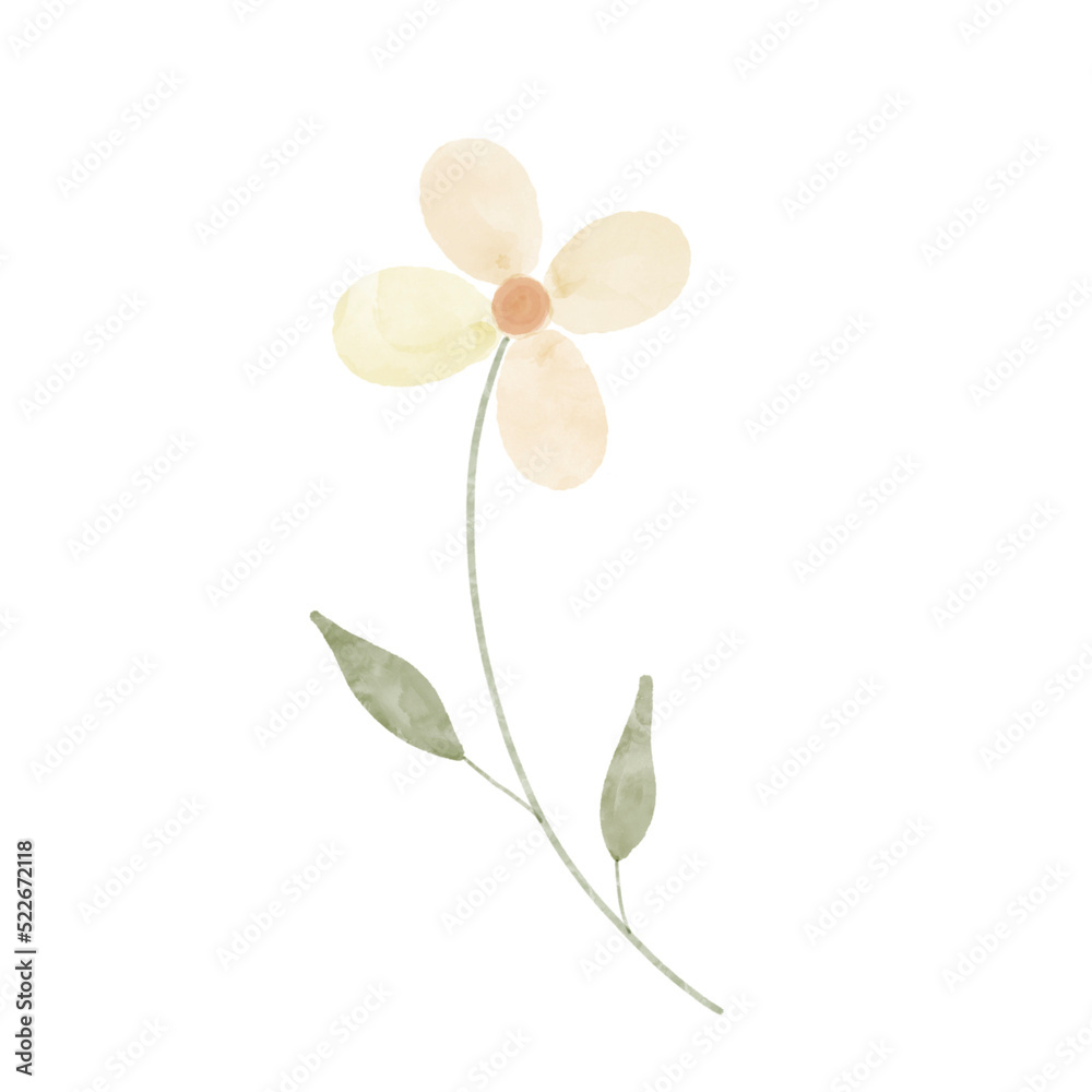 Fototapeta premium flower watercolor