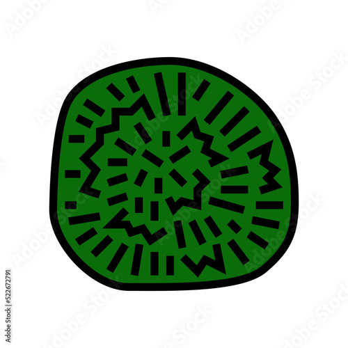 marimo ball color icon vector. marimo ball sign. isolated symbol illustration
