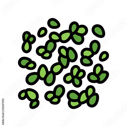 duckweed seaweed color icon vector. duckweed seaweed sign. isolated symbol illustration