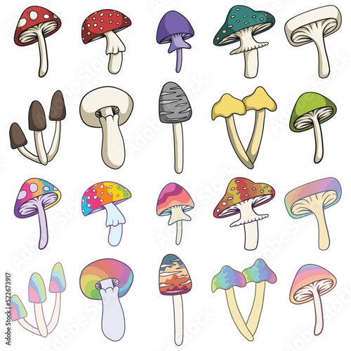 Mushroom set collection vector illustration