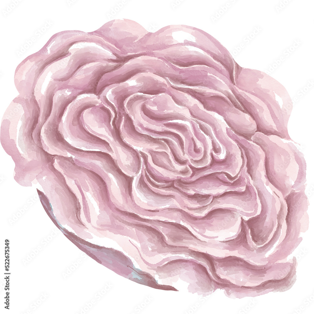 Obraz premium Flowers and leaves illustration collection For decorations, card designs, weddings, digital prints, bags, t-shirt designs, canvas prints, frames and more.