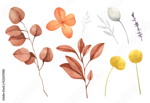 Set of Branches, leaves and flower, autumn decorative elements. Watercolor isolated collection in vintage style.