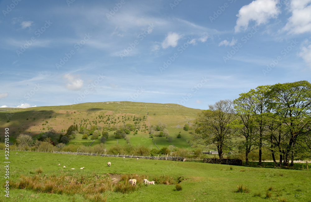 Scenery in Wharfedale in Yorkshire Dales