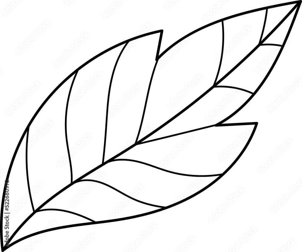 forest fern eucalyptus art foliage natural
leaves herbs inline style. Decorative beauty, elegant illustration forest fern eucalyptus art foliage natural
leaves herbs inline style. Decorative beauty, elegant illustration