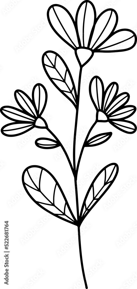 forest fern eucalyptus art foliage natural
leaves herbs inline style. Decorative beauty, elegant illustration forest fern eucalyptus art foliage natural
leaves herbs inline style. Decorative beauty, elegant illustration