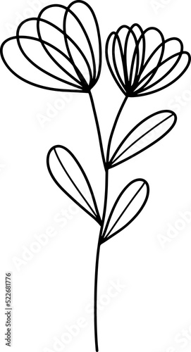 forest fern eucalyptus art foliage natural
leaves herbs inline style. Decorative beauty, elegant illustration