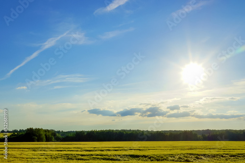 summer landscape, the sun is getting ready for sunset