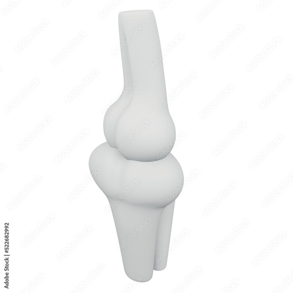 Fototapeta premium Bone 3D rendering isometric icon.
