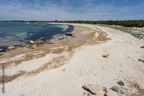 Platja des Caragol  Santanyi    rea Natural de Especial Inter  s  Mallorca  Balearic Islands  Spain