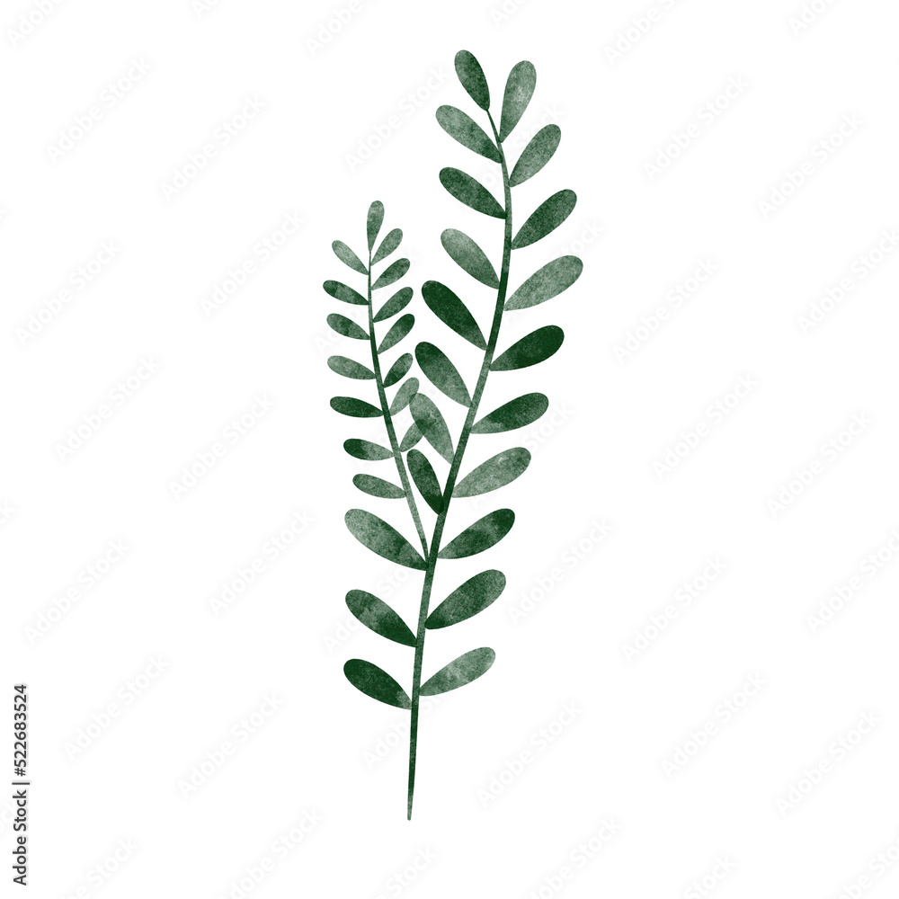 Fototapeta premium leaf in watercolor