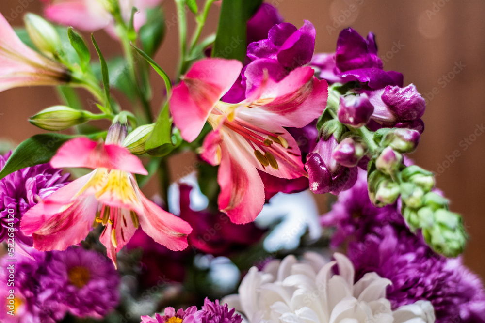 Delicate blossoming pink flowers, blooming 
 background, flower bouquet pastel image, soft petal.  Magenta peruvian lily alstroemeria.