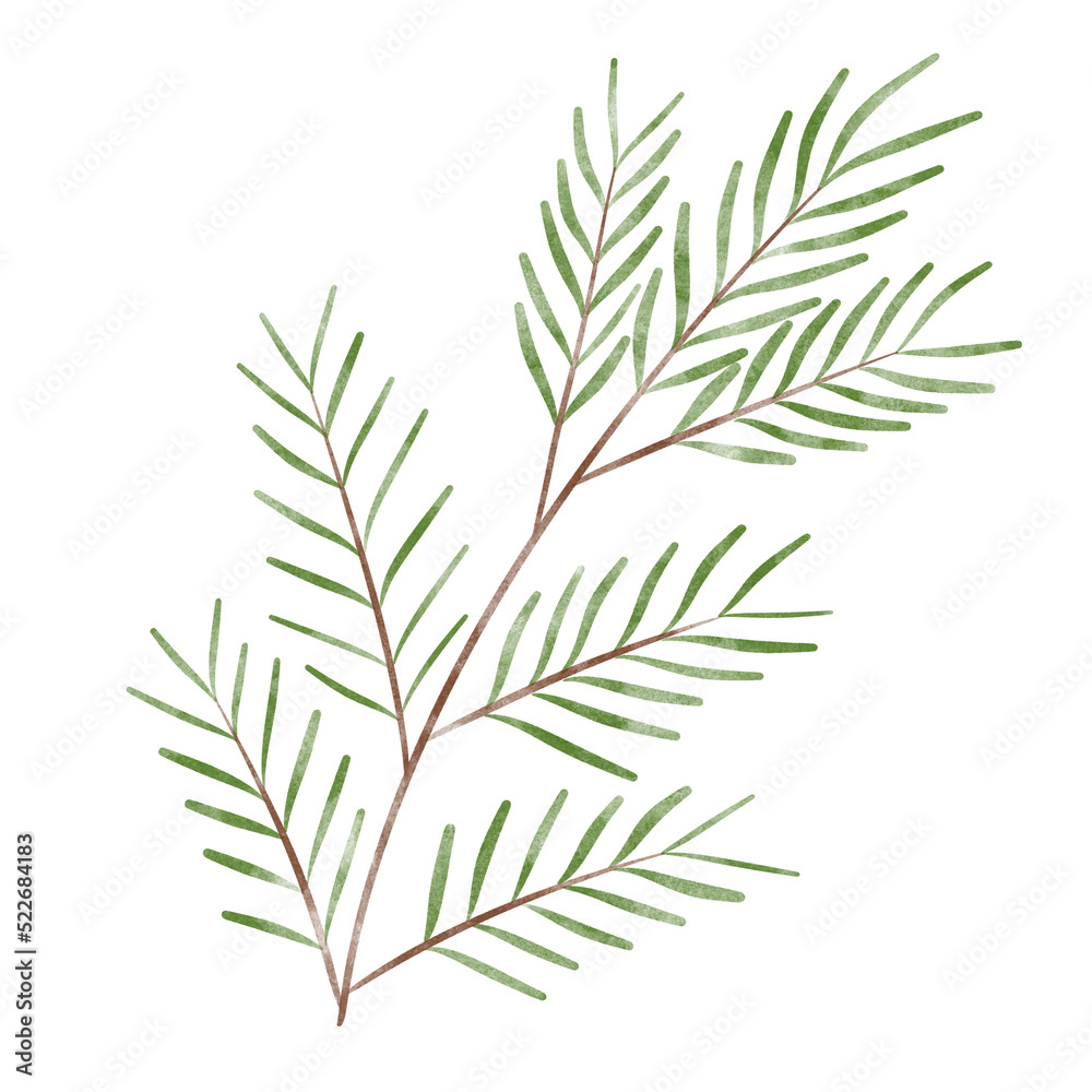 Obraz premium leaf in watercolor