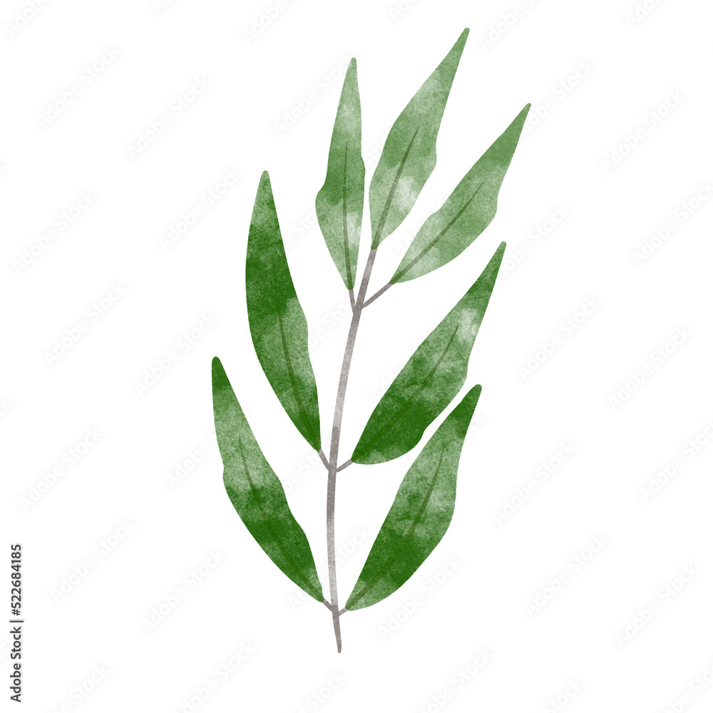 leaf in watercolor leaf in watercolor