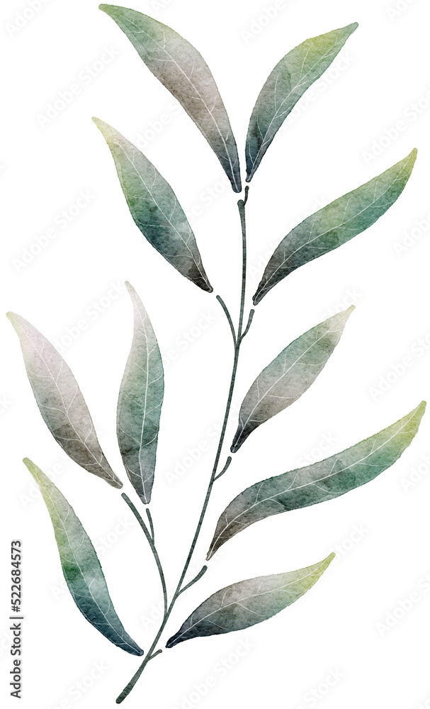 Naklejka premium Leaf watercolor transparency for decoration.