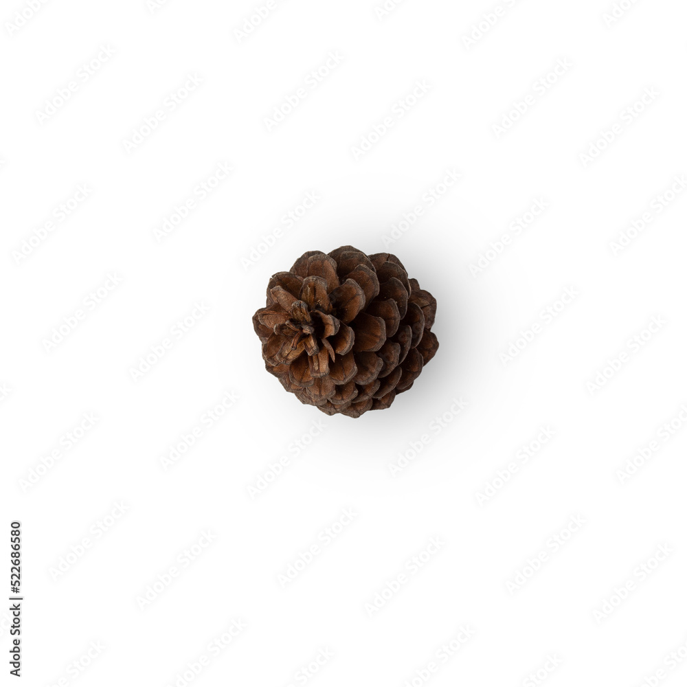 Pine cone cutout, Png file. Pine cone cutout, Png file.