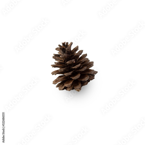 Pine cone cutout  Png file.