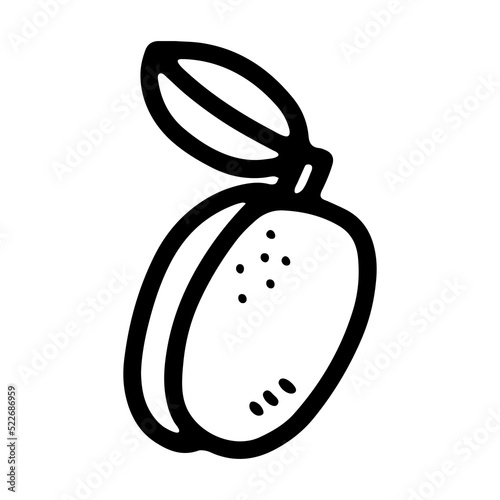 Doodle ripe plum. Outline berry with leaf isolated on white background. Hand-drawn fruit. Symbol of summer, healthy raw food, gardening, market. Fresh cute organic print. Vector kawaii illustration