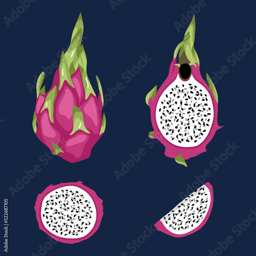 Dragon fruit pitaya elements vector illustration 