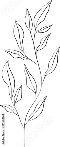 forest fern eucalyptus art foliage natural leaves herbs inline style. Decorative beauty, elegant illustration 