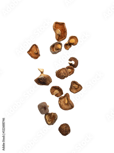 Falling shiitake mushroom cutout, Png file.