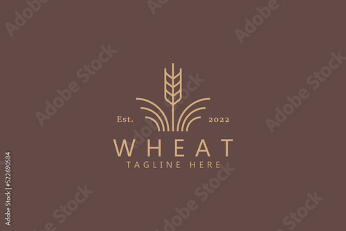 Wheat Agriculture Logo Simple Line Style. Business Organic Food and Cereal Icon and Symbol Product.