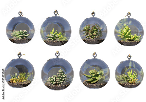 Plants in pots for decoration on a transparent background