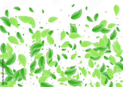 Greenish Greenery Background White Vector. Sheet Cosmetic Card. Vivid Illustration. Light Green Floral Texture. Foliage Eucalyptus.