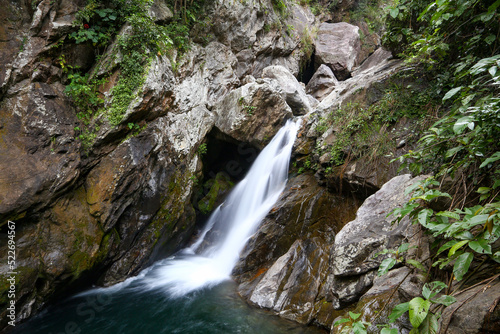 stream in the forest