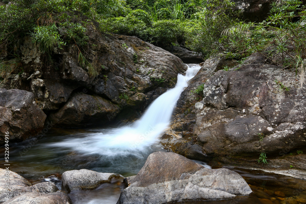 Fototapeta premium waterfall in the forest
