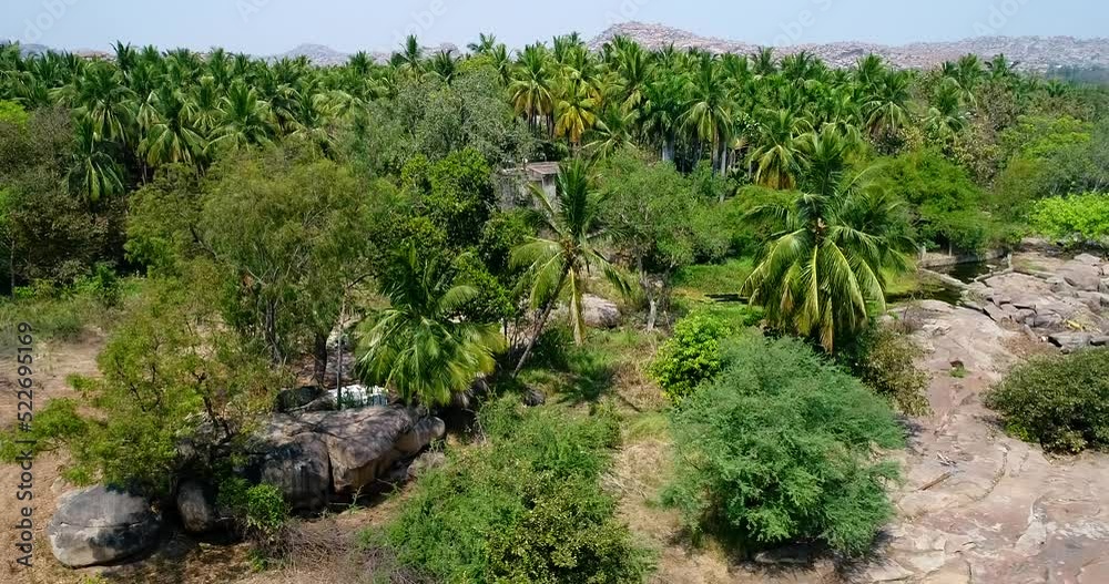 Aerial shot of rocky landscape with tropical vegetation and coconut trees Aerial shot of rocky landscape with tropical vegetation and coconut trees
