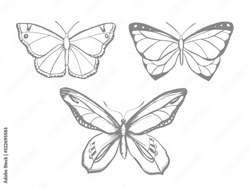 Stylized butterflies, line art, vector illustration Stylized butterflies, line art, vector illustration