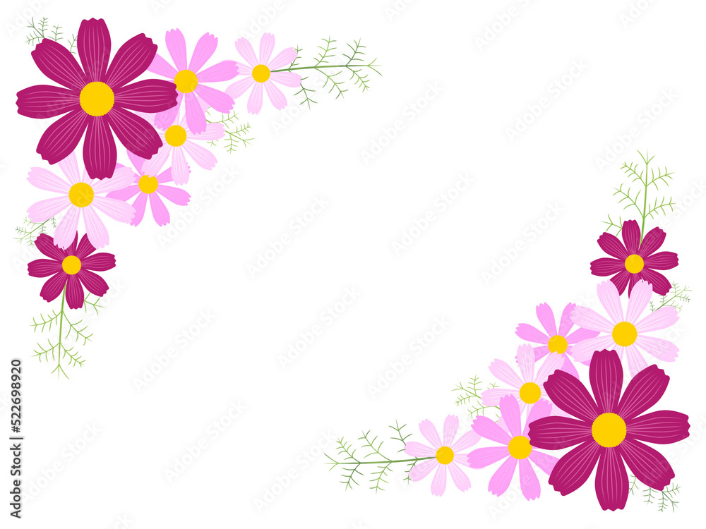 Obraz premium コスモスの背景