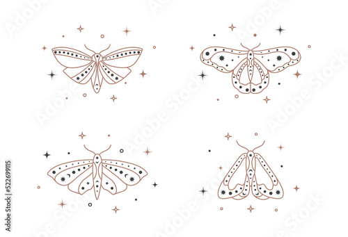 Mystical celestial outline set moths with stars line art. Spiritual elegant butterflies for branding name logo cosmetical salon and shop. Esoteric magical temporary tattoo. Doodle Vector illustration photo