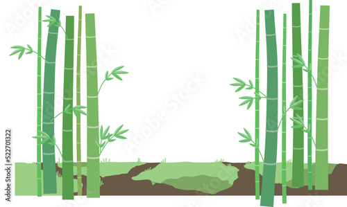 笹　地面　草