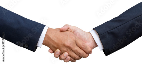 Business handshake and business people concepts. 