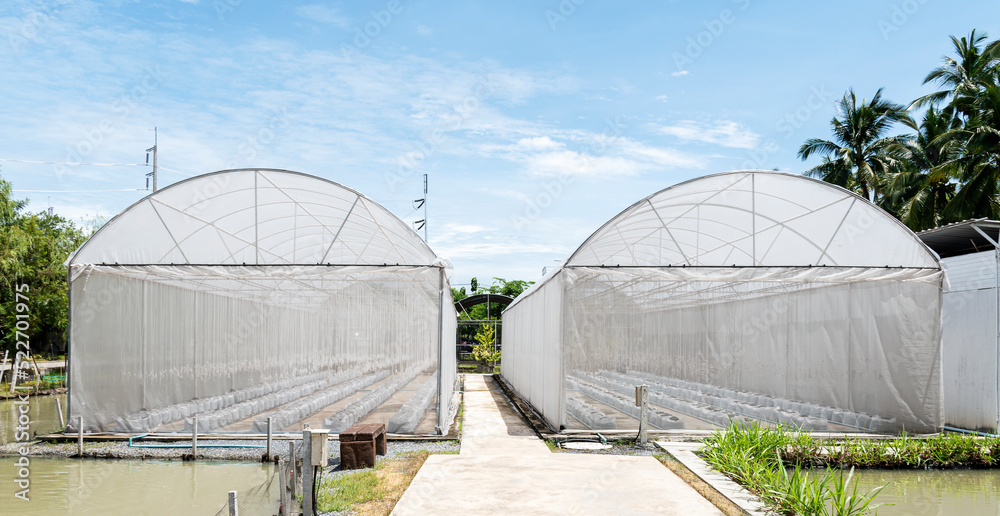 Outside view greenhouse for growing vegetables and fruits Outside view greenhouse for growing vegetables and fruits