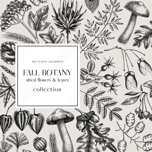 Autumn card or invitation. Thanksgiving banner design. Fall wreath with fall leaves and dried flowers. Sketched dried herbs, falling leaves, mushrooms, seeds. Black and white illustration