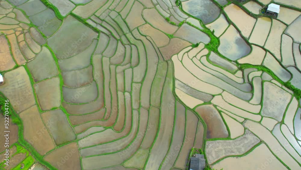 Aerial view of drones flying over rice terraces in Chiang Mai, Northern Thailand. Nature background in 4K resolution.
Aerial view of drones flying over rice terraces in Chiang Mai, Northern Thailand. Nature background in 4K resolution.