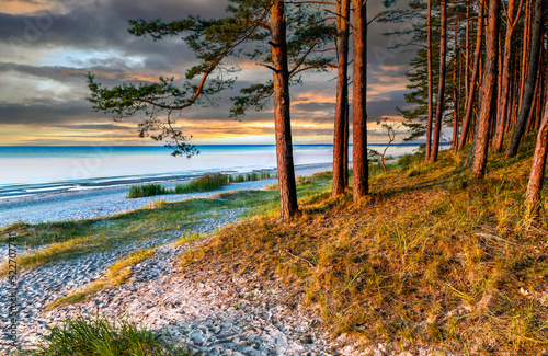 Sandy beach and forest dune area of the Baltic Sea. Concept of happy, bliss a...