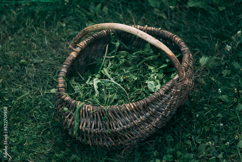 basket with grass standing on the grass