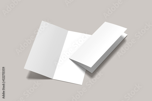 DL Bifold Brochure Blank Mockup