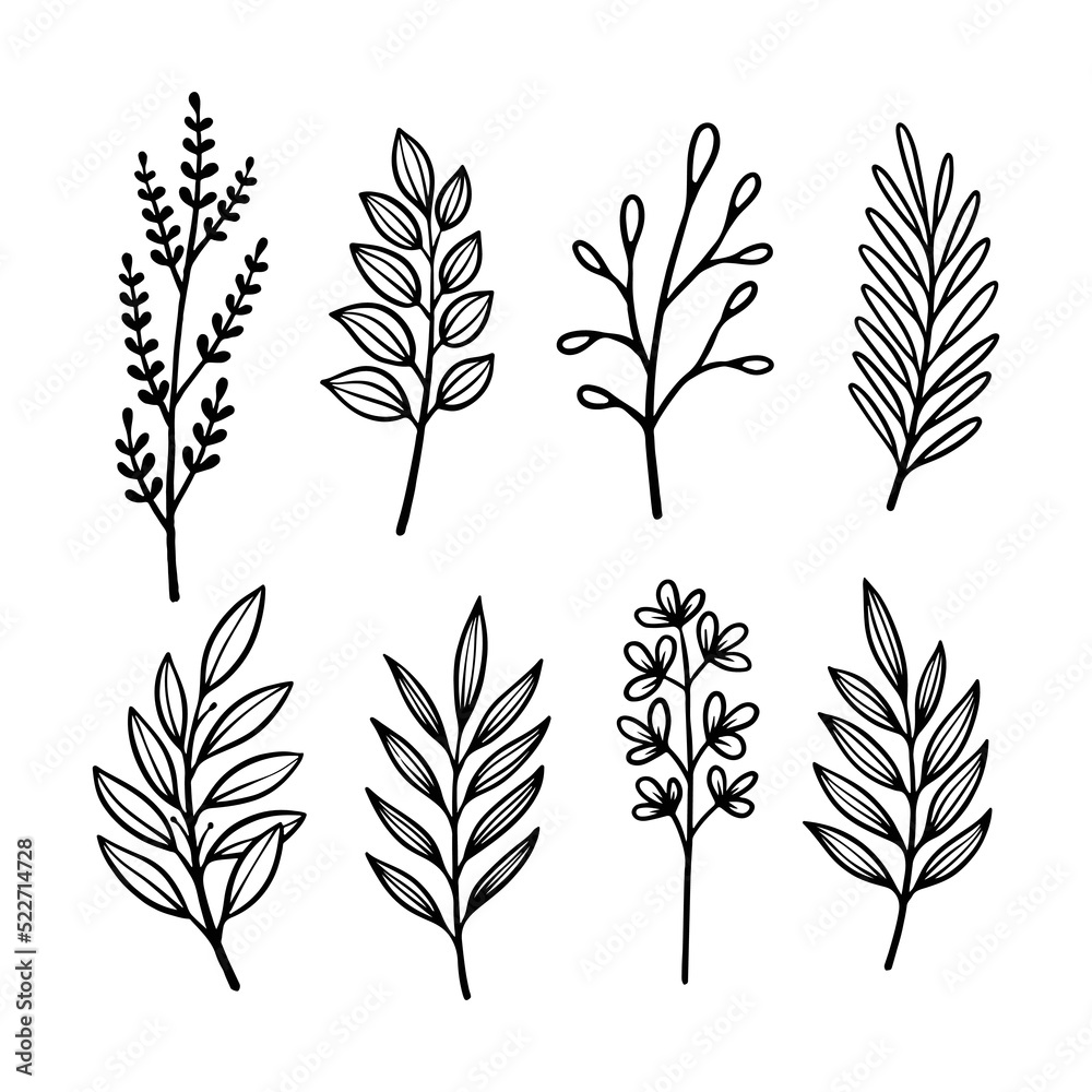 Fototapeta premium Set of hand drawn floral decoration elements vector