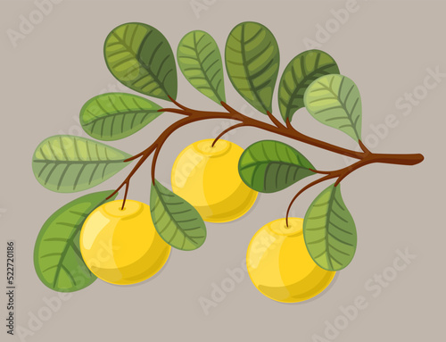 tree with leaves