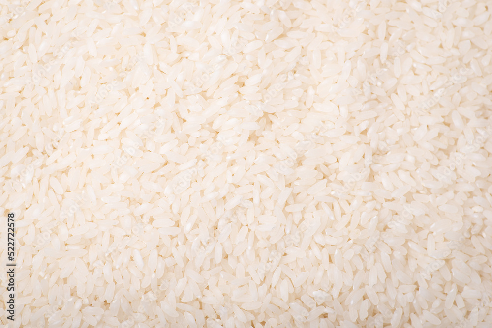 Background of freshly harvested rice. White rice harvest
