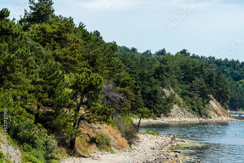 Steep rocky shore in front of narrow strip of stone beach. Calm Black Sea. Pine trees grow on steep stone slopes. There are no people on wild coast. Resting place for tourists with tents.