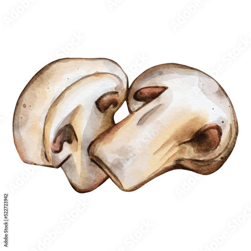 Mushroom watercolor vector design