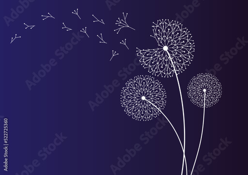 Conceptual illustration of freedom and serenity.Black silhouette with flying dandelion buds .