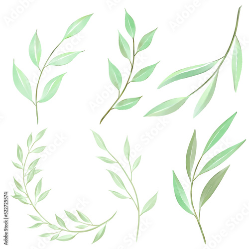 Watercolor green leaves collection. Set of lovely watercolor leaves and branches. Png illustration.