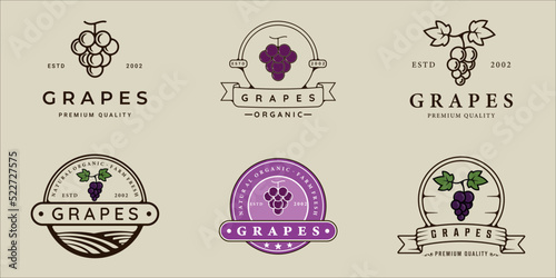 set of grape logo line and vintage vector illustration template icon graphic design. bundle collection of various organic fruit sign or symbol for farm product and food or drink business