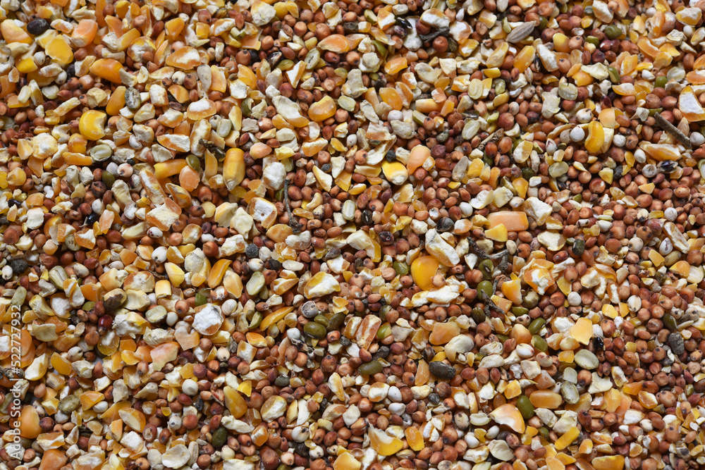 Texture of seed and grain mix for bird feed and livestock . Texture of seed and grain mix for bird feed and livestock .